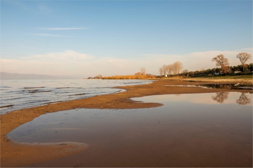 Causas del cambio climático