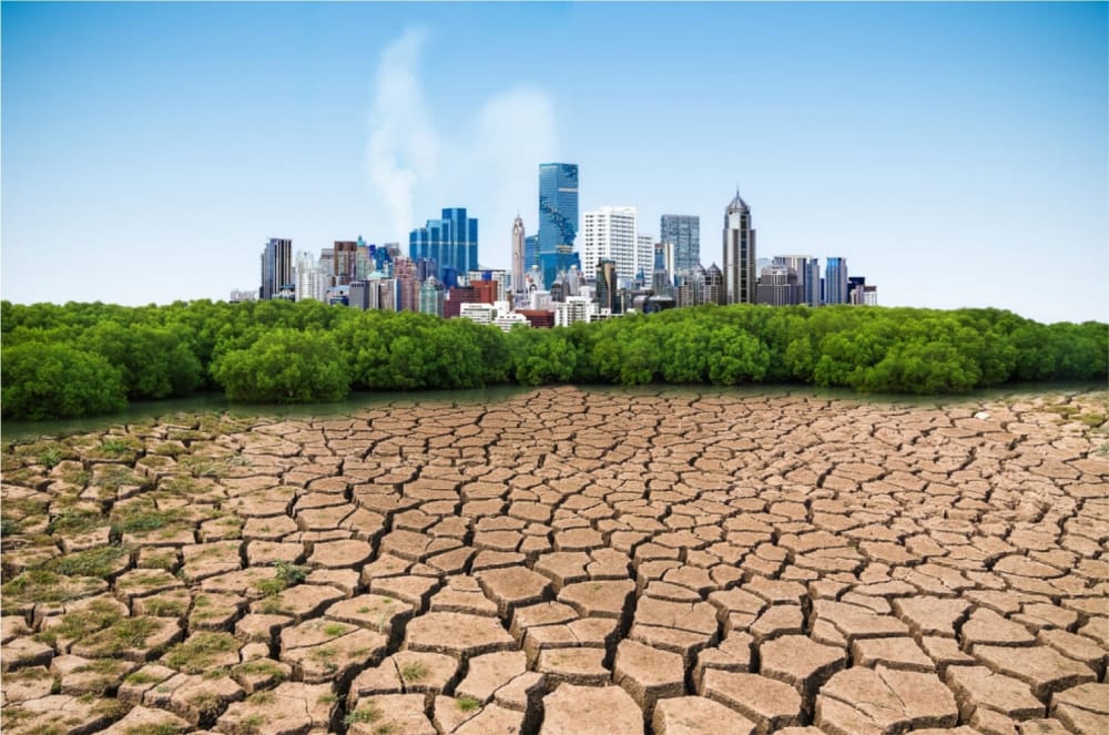 Efectos del cambio climático